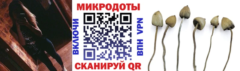 Галлюциногенные грибы мицелий  кракен сайт  Злынка 